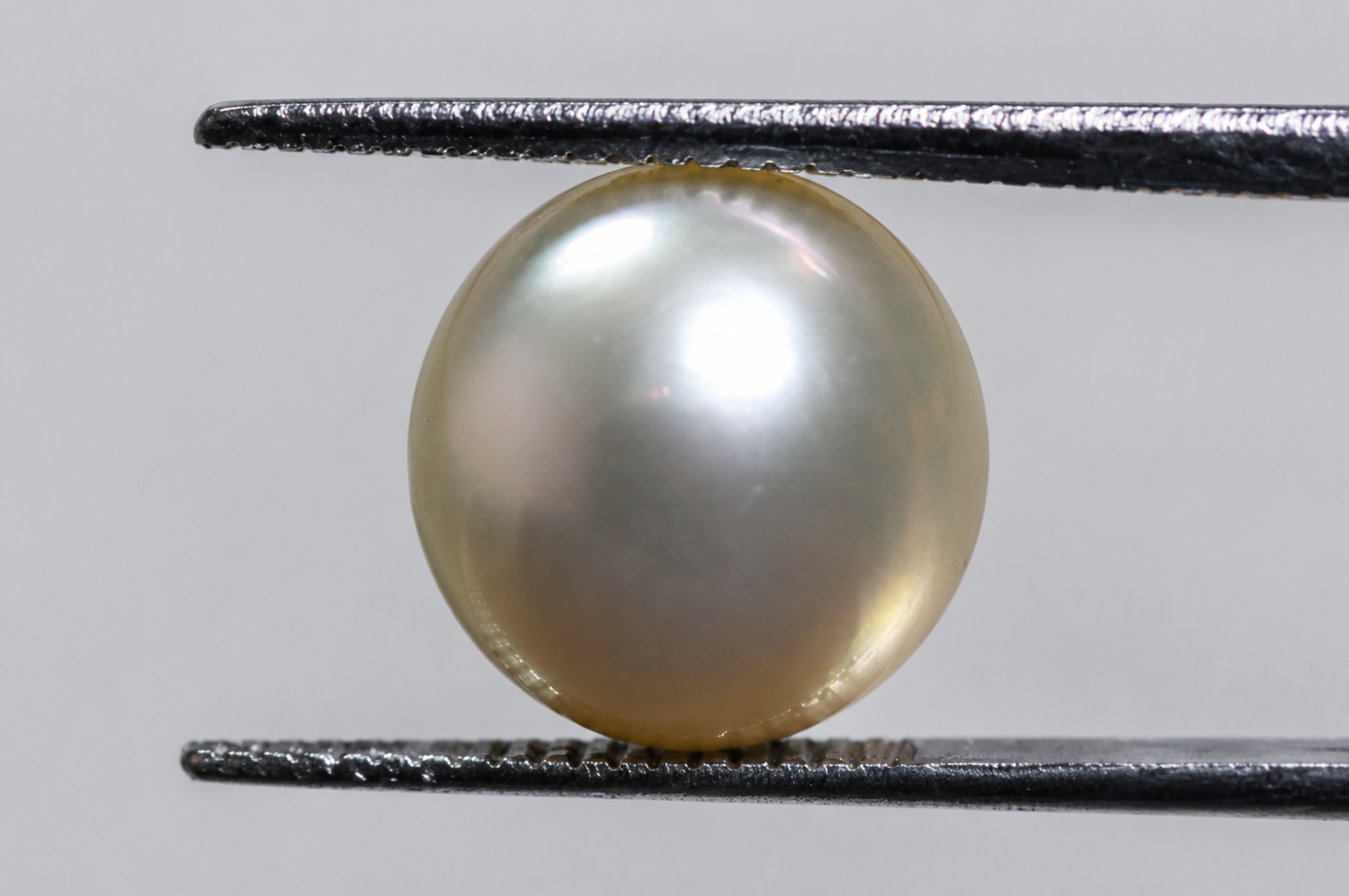 Australian Pearl (Moti) 5.61 Ct