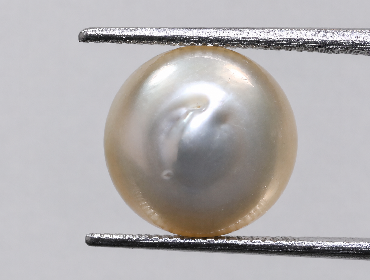 Australian Pearl (Moti) 7.74 Ct