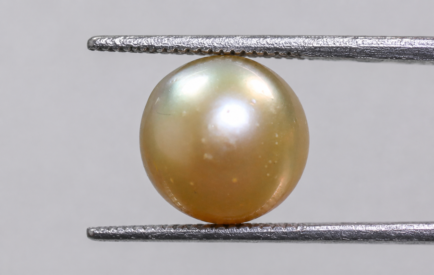 Australian Pearl (Moti) 6.33 Ct