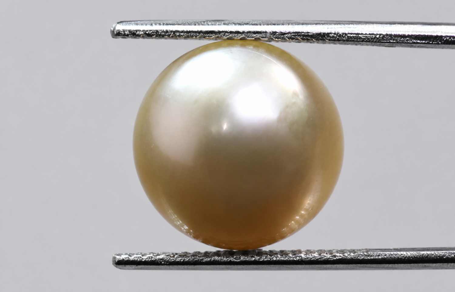 Australian Pearl (Moti) 5.66 Ct