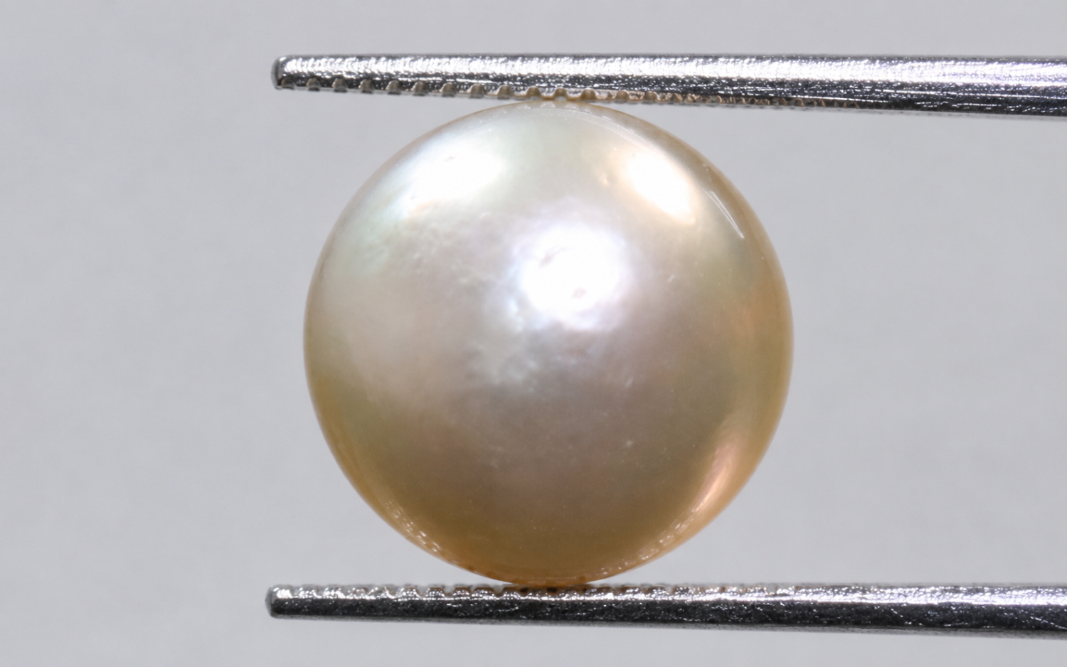 Australian Pearl (Moti) 7.78 Ct