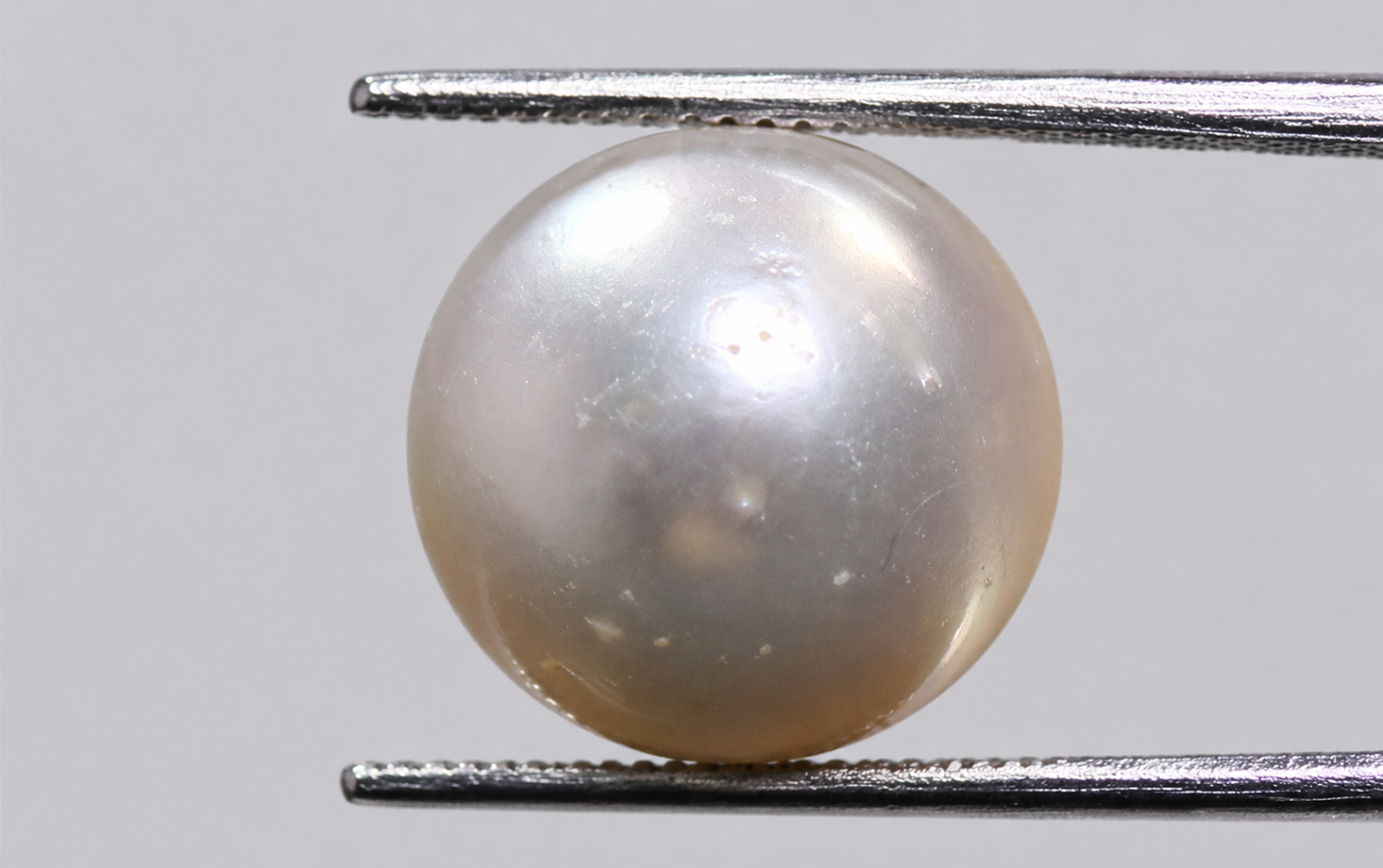 Australian Pearl (Moti) 9.74 Ct