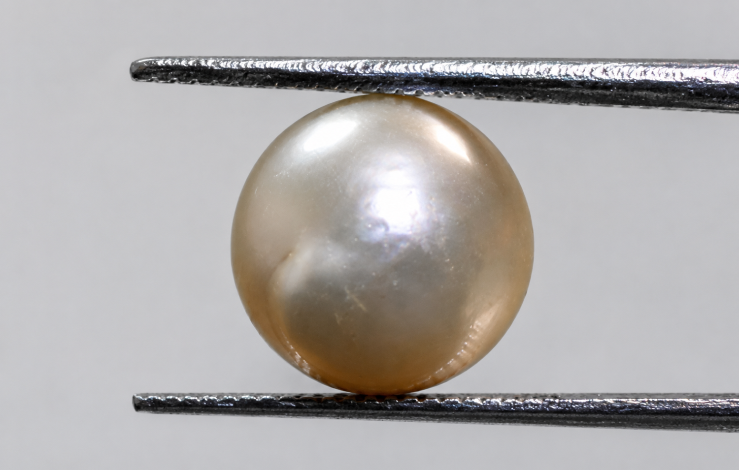 Australian Pearl (Moti) 6.28 Ct