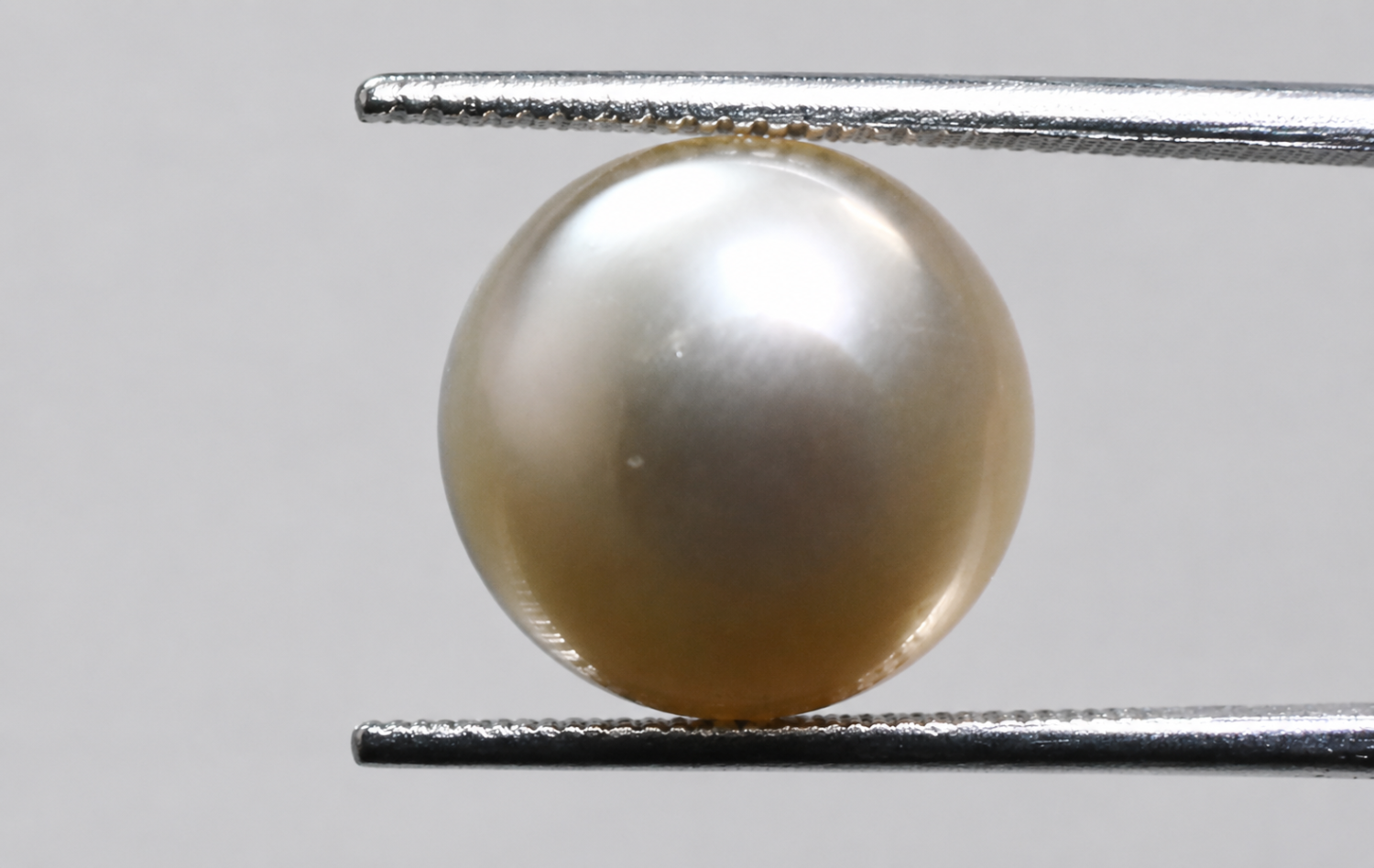 Australian Pearl (Moti) 5.11 Ct