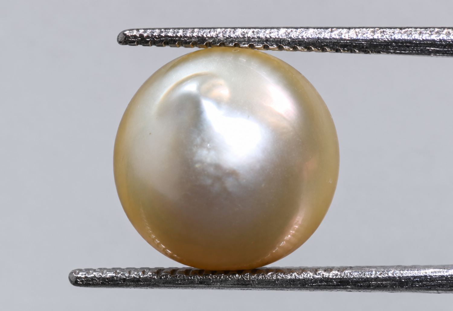 Australian Pearl (Moti) 6.59 Ct
