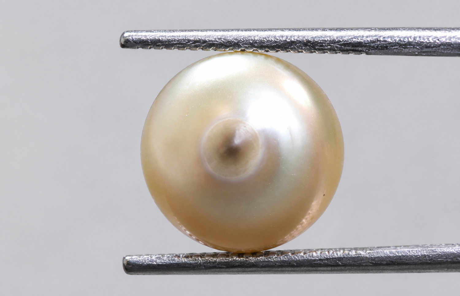 Australian Pearl (Moti) 7.95 Ct